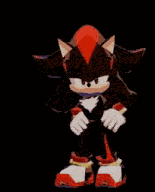 Shadow The Hedgehog Sonic GIF