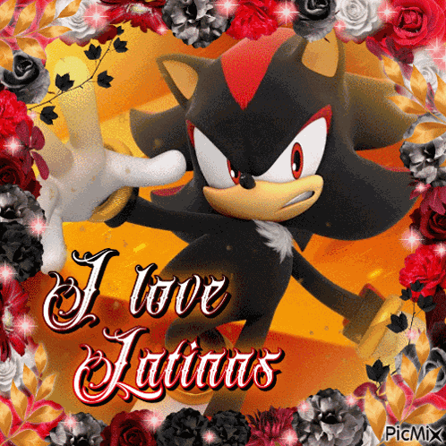Shadow The Hedgehog Sonic The Hedgehog GIF