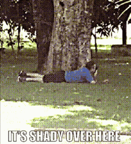 Shady Throwing Shade GIF