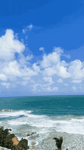 Shagarita Shalymar GIF