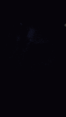 Shagarita Shalymar GIF