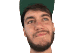 Shaking My Head Casey Frey Sticker