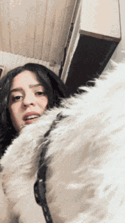 Shalymar Shagarita GIF