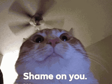 Shame On You Meme