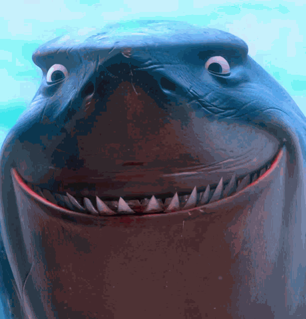 Shark Finding Nemo GIF