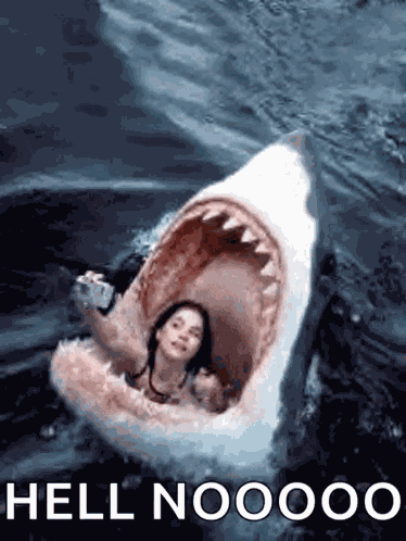 Shark Jaws GIF