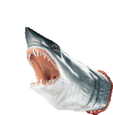 Shark Mouth Jaw Sticker
