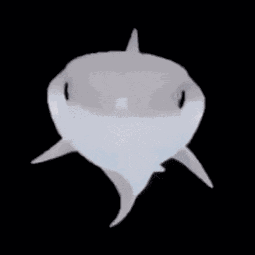 Shark Surprised GIF