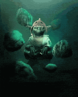 Sharkcat Memecoin GIF