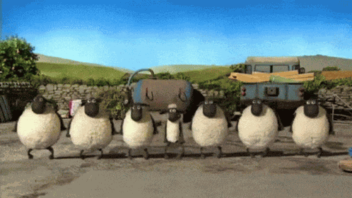Shaun The Sheep Irish Step Dancing GIF