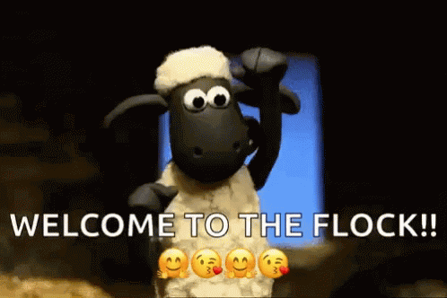 Shaun The Sheep Stop Motion GIF