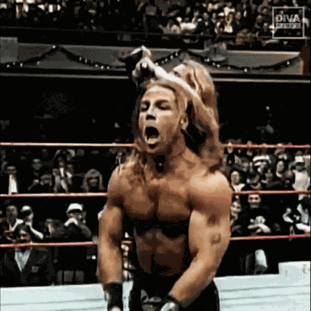 Shawn Michaels Shawn GIF
