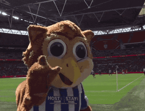 Sheffield Sheffield Wednesday GIF