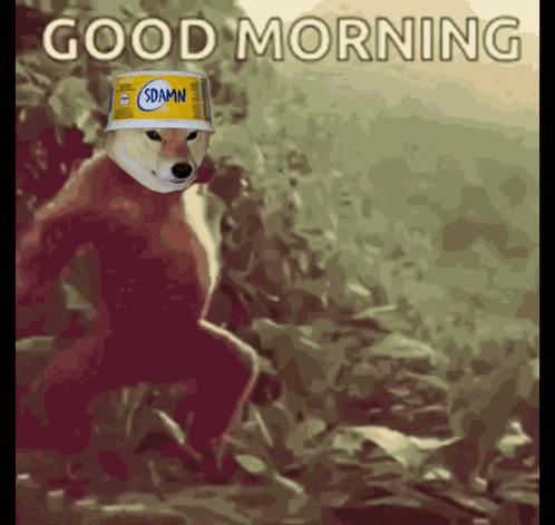 Shib Shibarium GIF