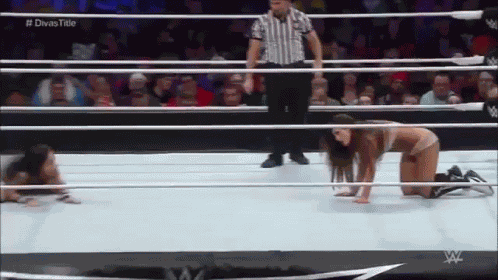 Shining Wizard  GIF