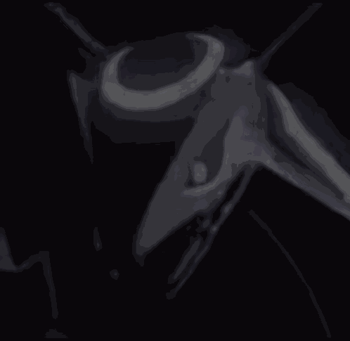 Shiny Rayquaza GIF