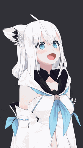 Shirakami Fubuki Neko Meme GIF