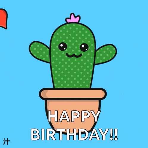 Shiru Cactus GIF