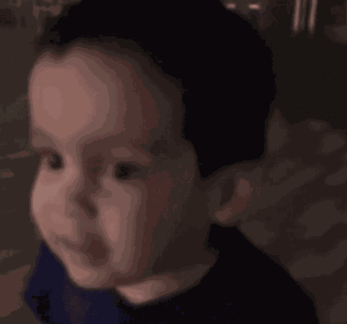 Shit California GIF