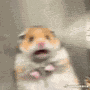 Shock In Shock Meme GIF