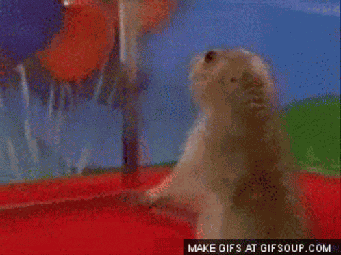 Shock Zoom GIF