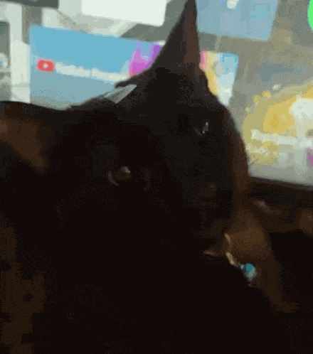 Shocked Face Mclaren Cat GIF