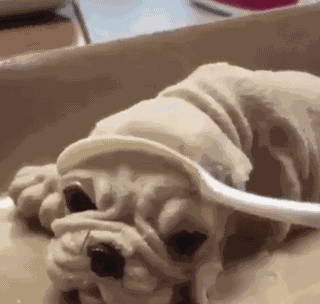Shocked GIF