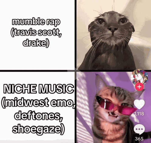 Shoegaze Midwestemo GIF