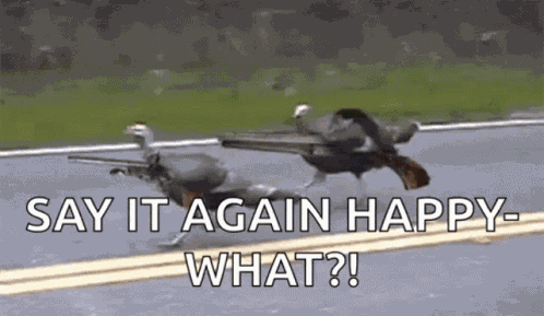 Shoot Turkey GIF
