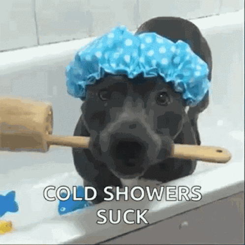 Shower Dogs GIF