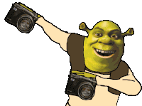 Shrek Dab Sticker
