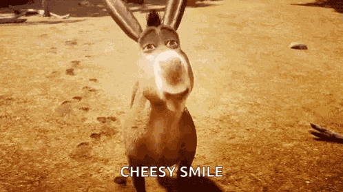 Shrek Donkey GIF