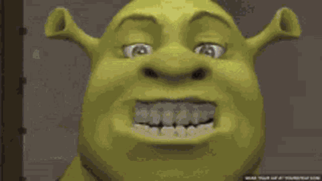 Shrek Is Love Shrek Is Life Shrek Meme GIF
