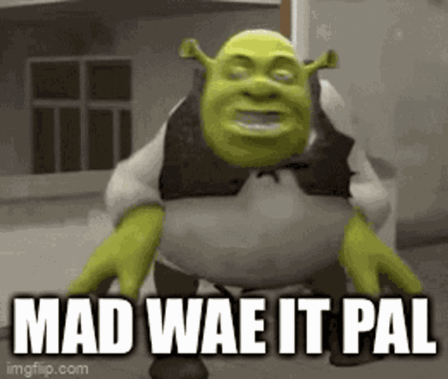 Shrek Mad Wae It Pal GIF