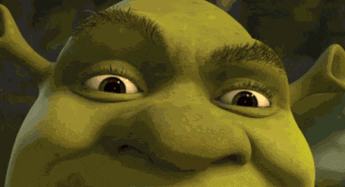 Shrek Oh No GIF