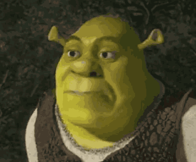 Shrek Reaction GIF