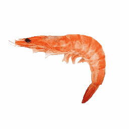 Shrimp Spinning GIF