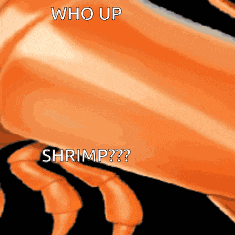 Shrimp Who Up Shrimp GIF