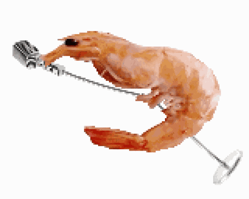 Shrimp Working GIF