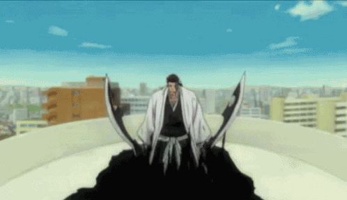 Shunsui Bleach GIF