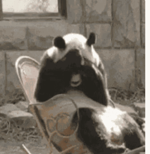 Shy Sad GIF
