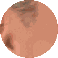 Side Eye Side Eye Meme Sticker