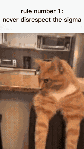 Sigma GIF