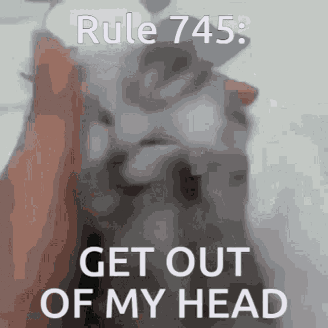 Sigma Rule 745 GIF