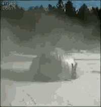 Silentgift The Realness GIF