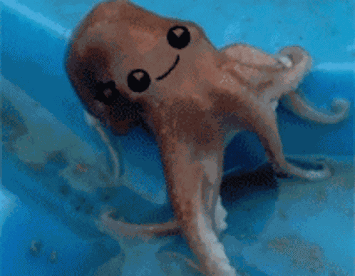 Silly Octopus GIF