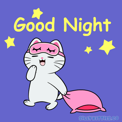 Silylkitties Sillkittiesco GIF