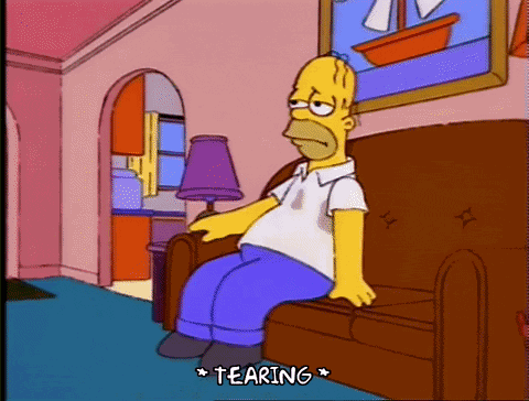 Simpson Homer GIF