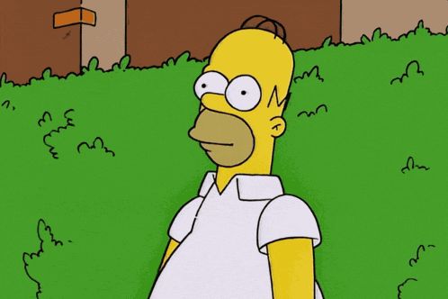 Simpsonovi Simpsons GIF