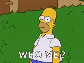 Simpsons Homer Simpson GIF